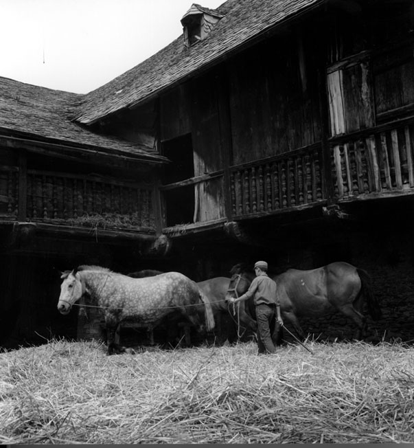 Batent a potes a Casa Felip de Gavàs.