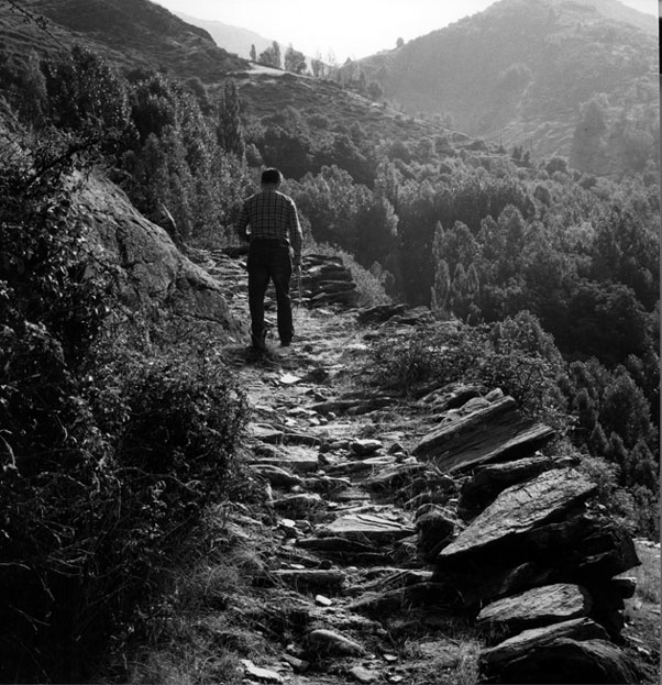 Camí medieval cap al castell de Burgo.