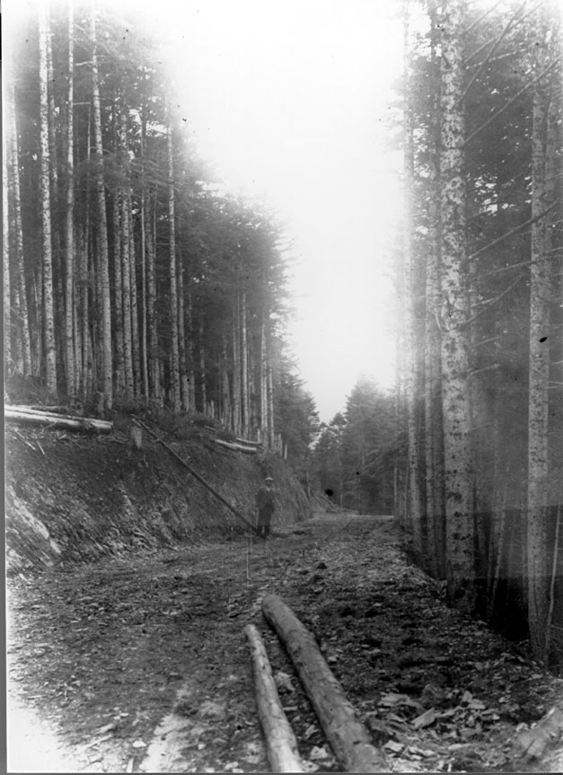 Construcció de la carretera del Port al seu pas pel bosc del Gerdar.