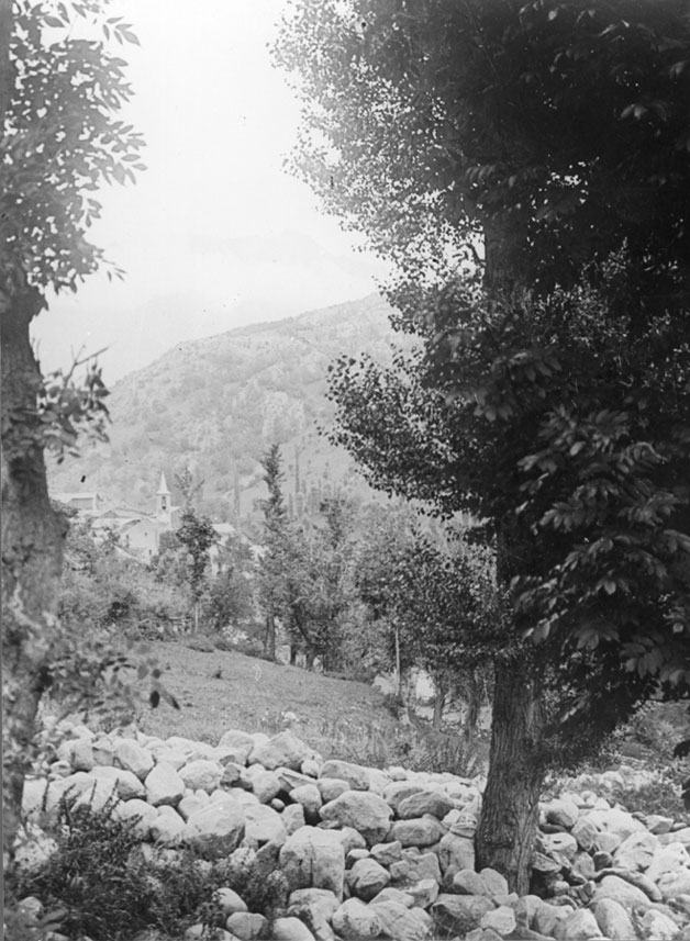 Vista entre arbres amb l'església d'Alós al fons.