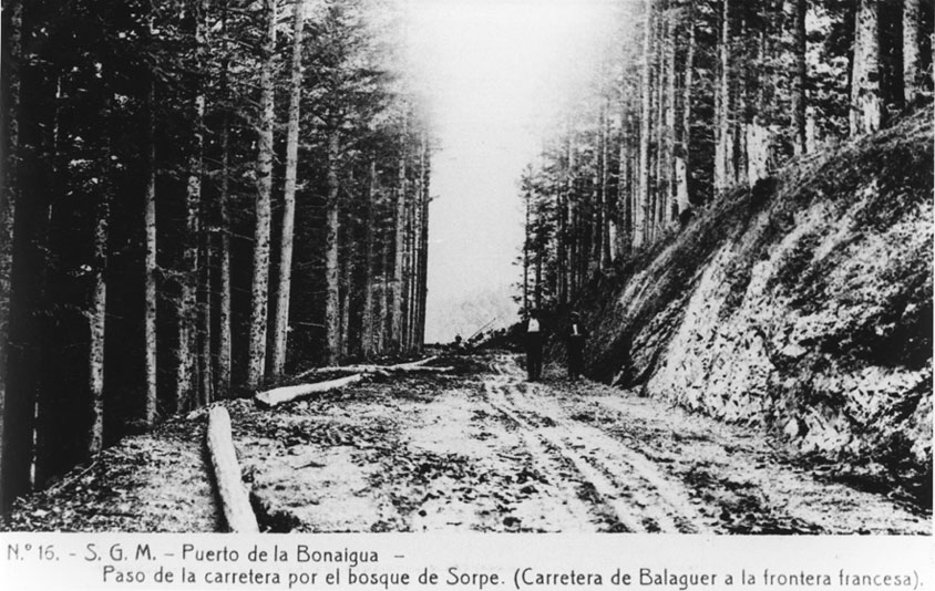 Pas de la carretera pel bosc del Gerdar de Sorpe.