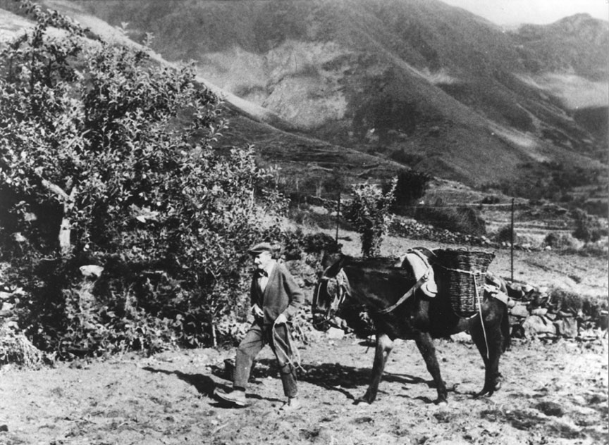 Joan Mas amb el matxo amb corbelles. Hort de Casa Cortina.