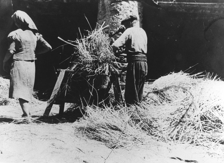 Arnaldo Picolo i Pepeta al corral.