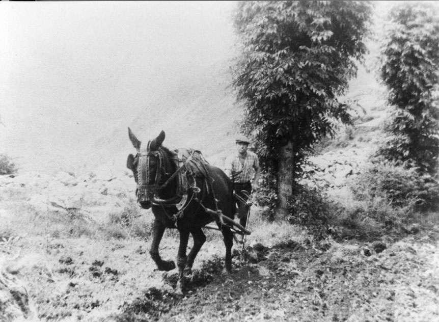 Enric Berné a Cruxell llaurant.