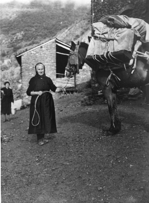 La Llorença amb l'èqua carregada davant de l'estudi.