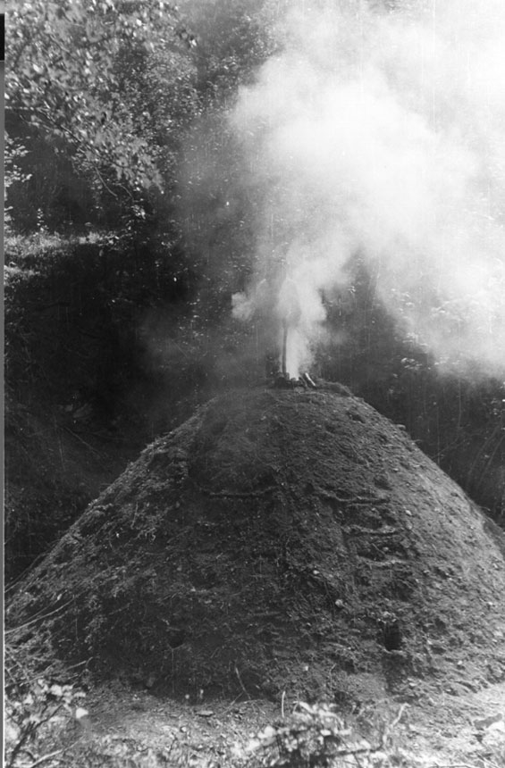 <p>Carbonera: pila de fusta tapada amb llenya verda, herba i terra d'on s'obtenia el carbó vegetal, per carbonització de la fusta.</p>