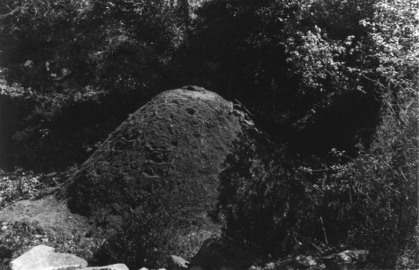 <p>Carbonera: pila de fusta tapada amb llenya verda, herba i terra d'on s'obtenia el carbó vegetal, per carbonització de la fusta.</p>