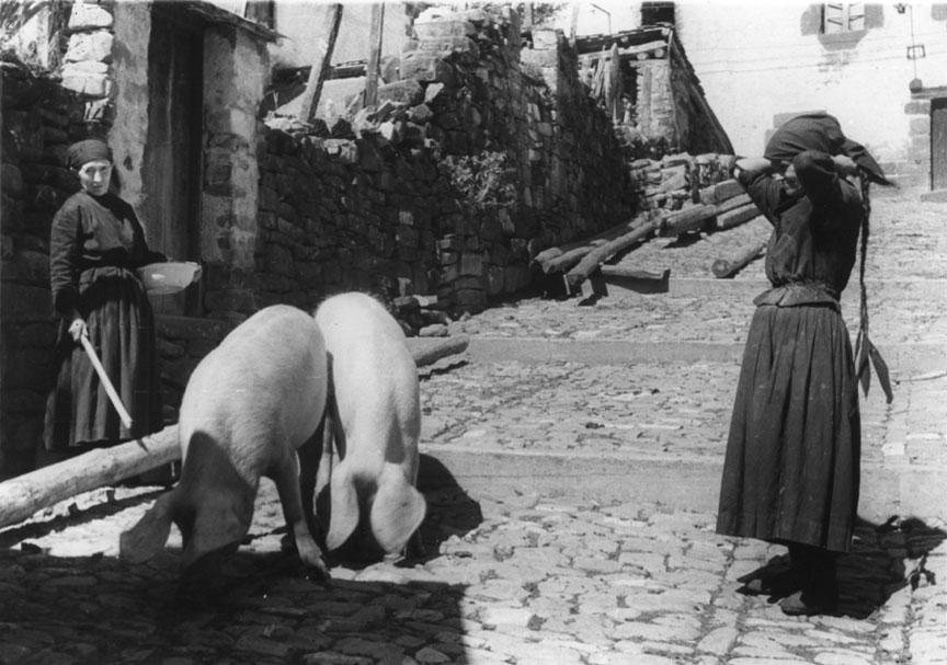 <p>Senyores grans amb una trena molt llarga i vestides igual cuidant els tocinos sueltos pel carrer.</p>