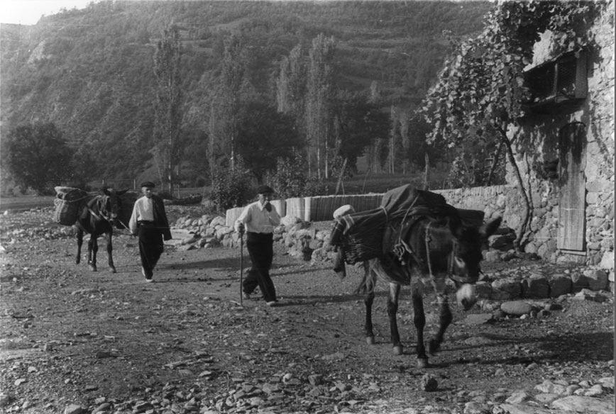 <p>Mules carregades amb corbelles al Pont de Suert barri d'Aragó (els Arenys)</p>