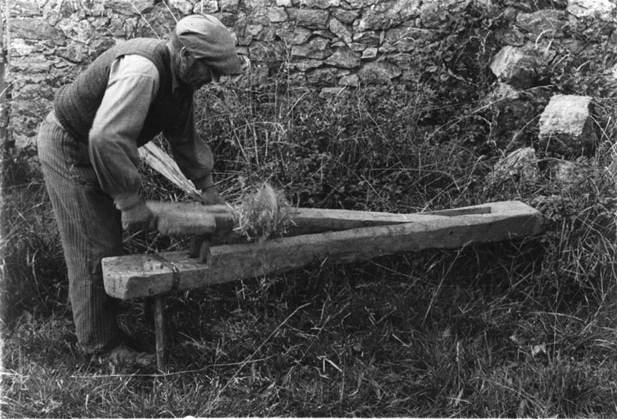 <p>Treballant cànem amb la gramadora.</p>