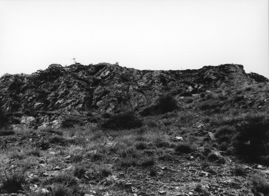 Restes de l'antic Castell del Pallars a València.