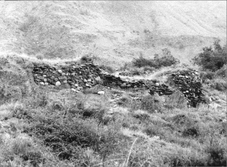 Restes de l'antic Castell del Pallars a València.