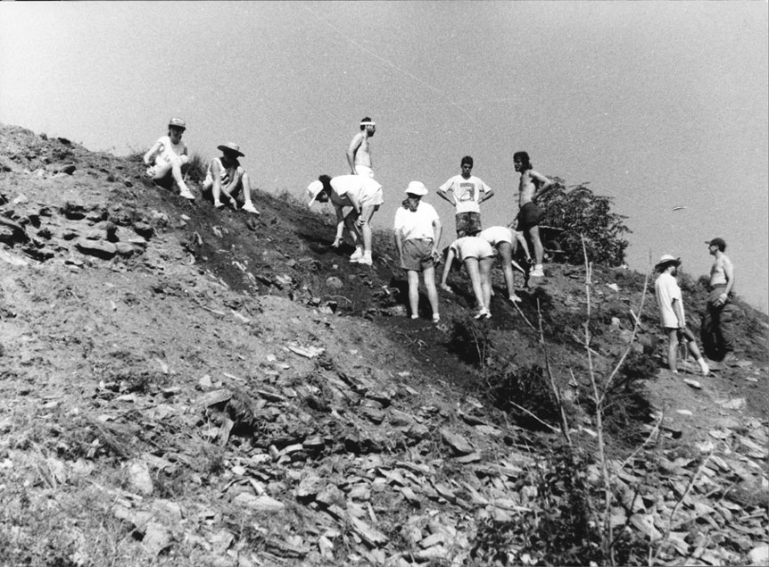 Inici de la neteja del Castell de València. Cara nord-est del castell. Primer grup de treball.