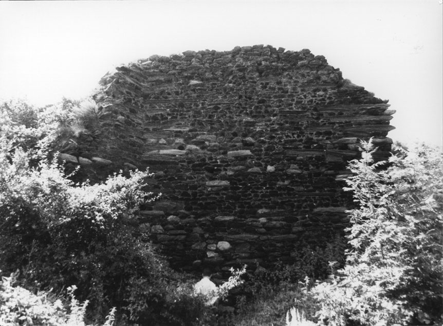 Restes d'una de les muralles de la cara nord del Castell.