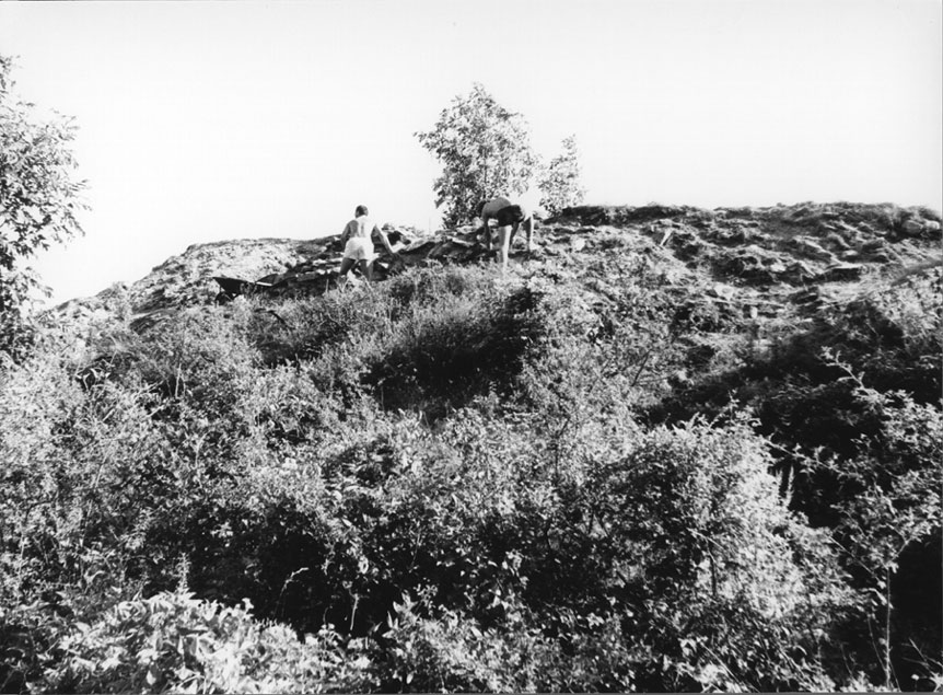 Neteja de la cara nord del Castell de València.