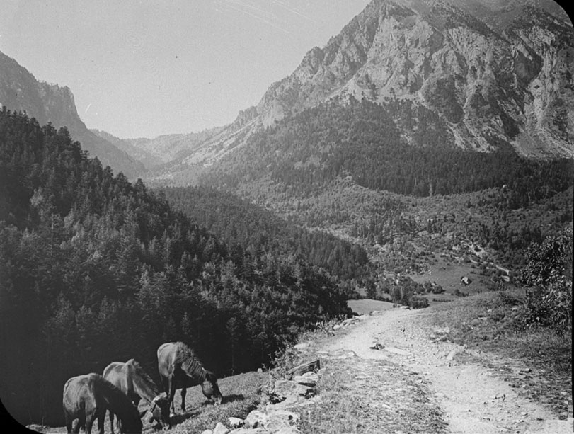 Els Avets o La Bonaigua de Baix. 