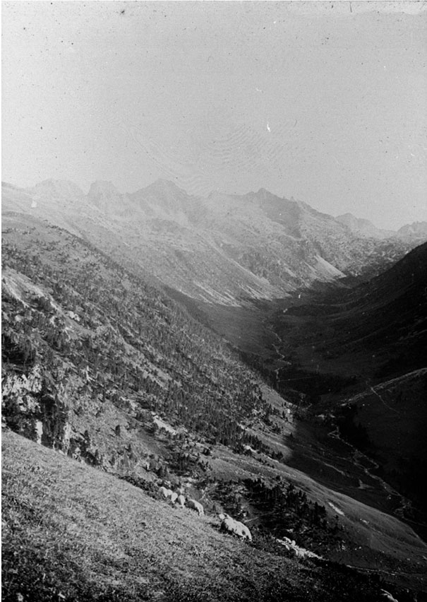 Des del cap del Port, Vall de Ruda i circ de Saboredo.