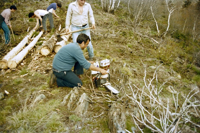 <p>Neteja d'escorça</p>