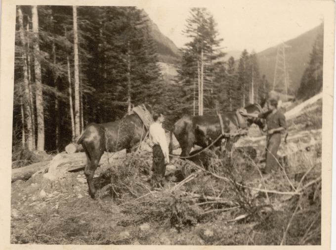 Tiradors al bosc, possiblement El Gerdar de Sorpe