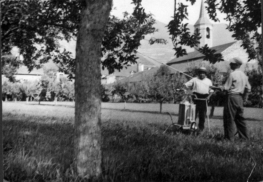 Marià Campi ensulfatant pomeres.