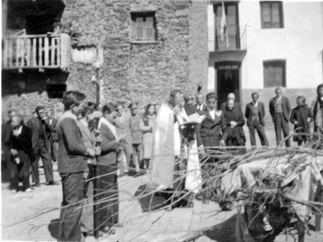 Mossèn Dot a la celebració de la Festa de l'arbre.