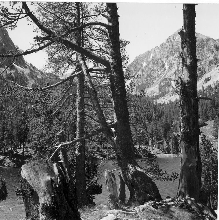 Estany de Sant Maurici. A l'esquerra el monòlit, el pi que está al seu costat, avui dia ja no hi és.