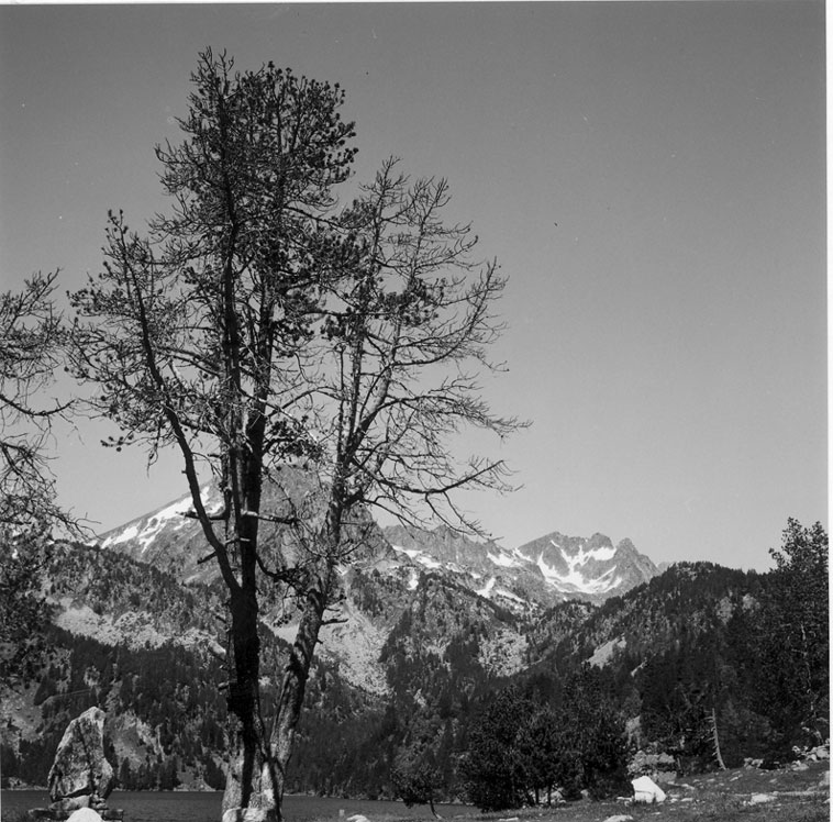 Estany de Sant Maurici. A l'esquerra el monòlit, el pi que està al seu costat, avui ja no hi és.