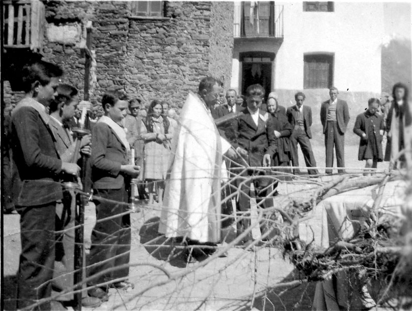 Festa de l'arbre.