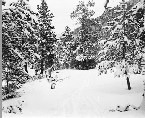 Parc Nacional de Sant Maurici. Vista nevada.