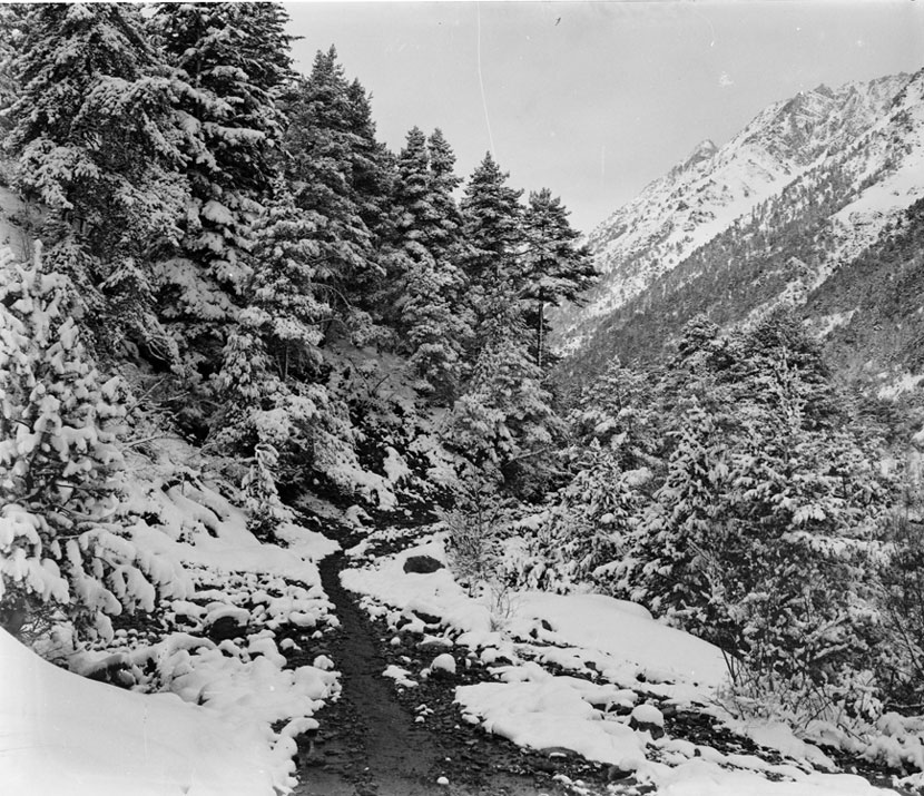 Camí de Sant Maurici