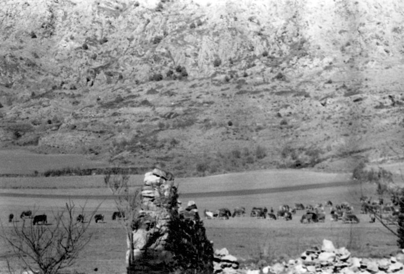 Vista de la Cultia d'Estaís.