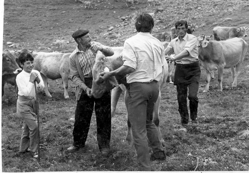 A mà esq. Jordi de Poblador, i pare i fills de casa Mossèn Joan.