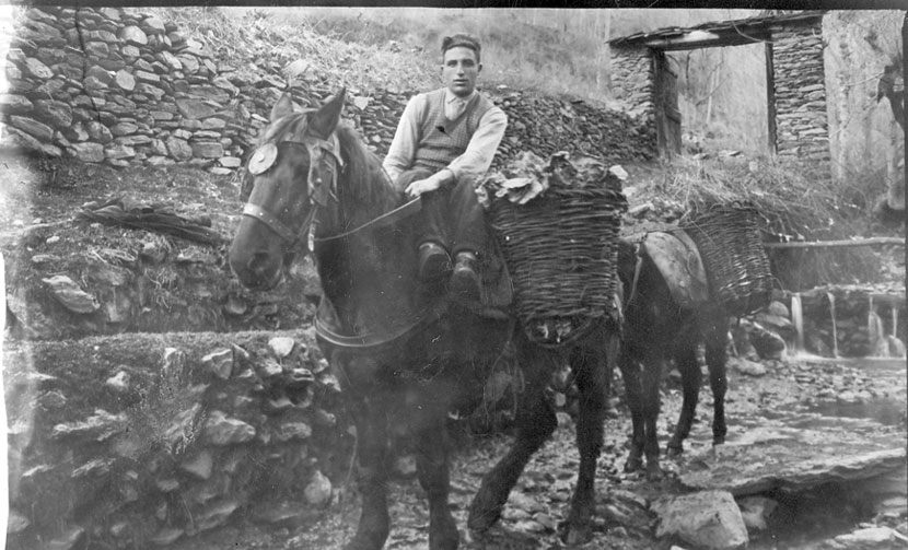 Peret de Moret a l'entrada del poble, el riu esta desconegut, a cavall amb les corberlles.