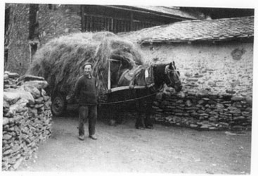 Miquel de Felip amb el cavall.