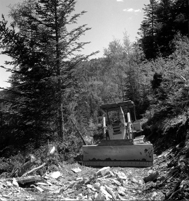 Construcció de la pista del bosc d'Escart per treure'n la fusta amb els camions.