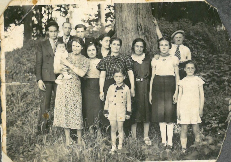 <p>Familia</p>