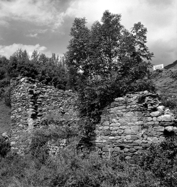 Restes de l'església de Sant Pere de Carrera.