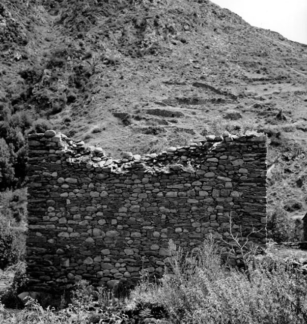 Restes de l'església de Sant Pere de Carrera.