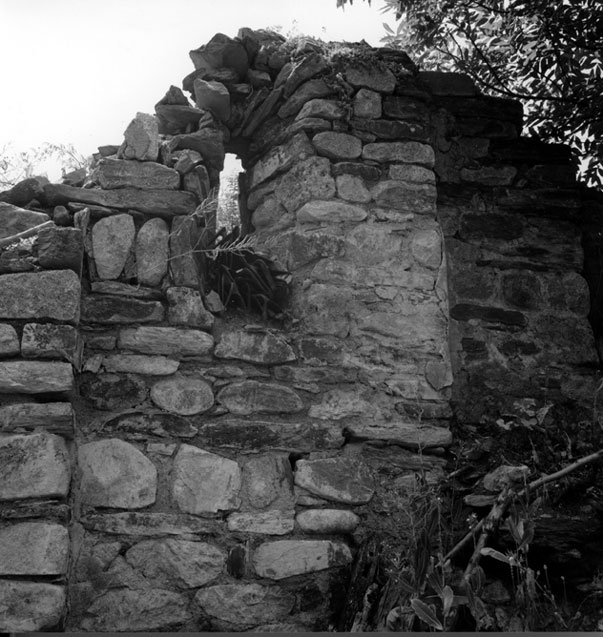 Restes de l'església de Sant Pere de Carrera.