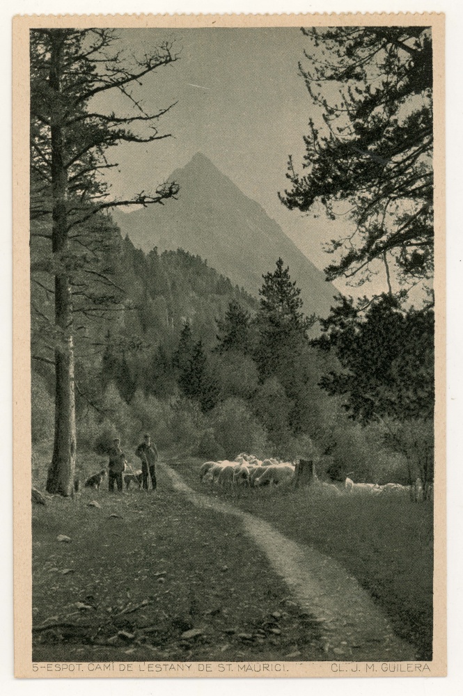 <p>Camí de l'estany de St. Maurici</p>