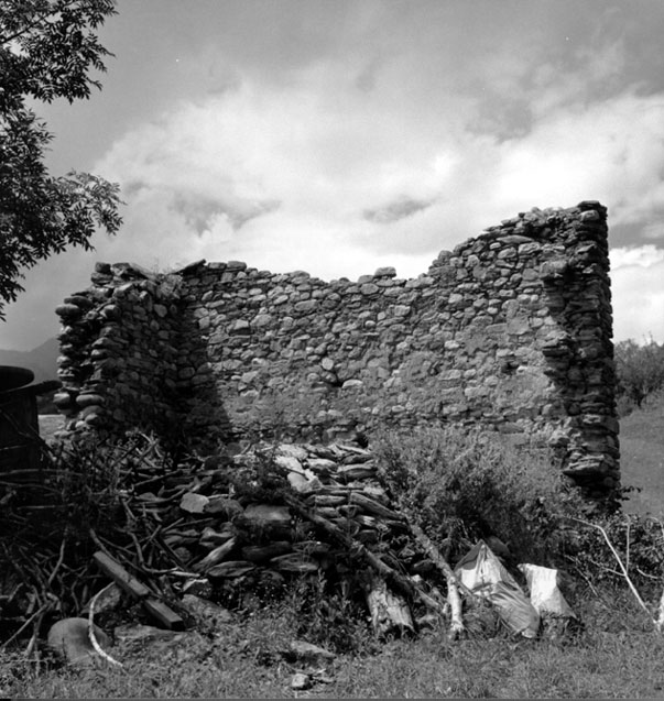 Restes de l'església de Sant Pere de Carrera.