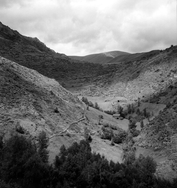 Borda en el camí de baixada del Calvo sud, a Estaron.