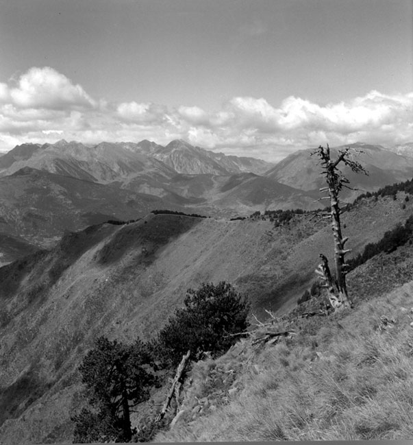 Camí del Cuco al Calvo.