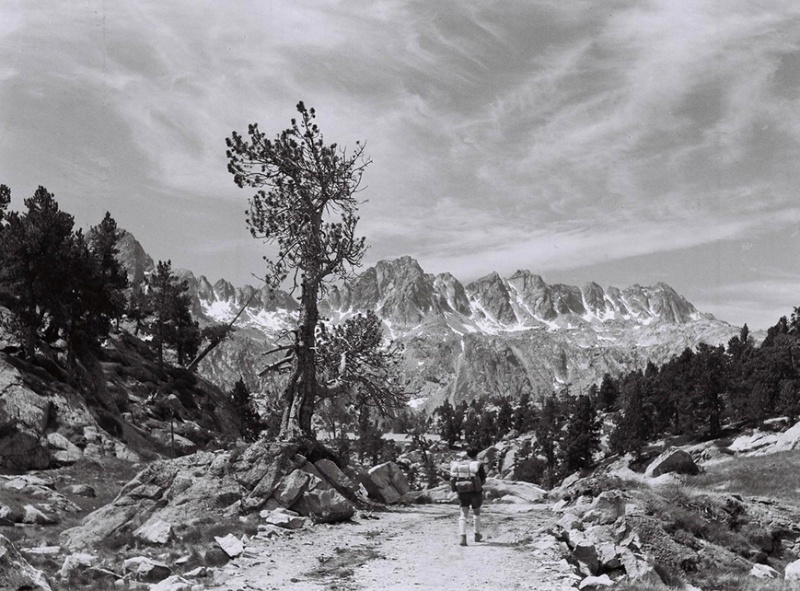 <p>Vall de Peguera aprop del refugi Josep Maria Blanc. Espot</p>