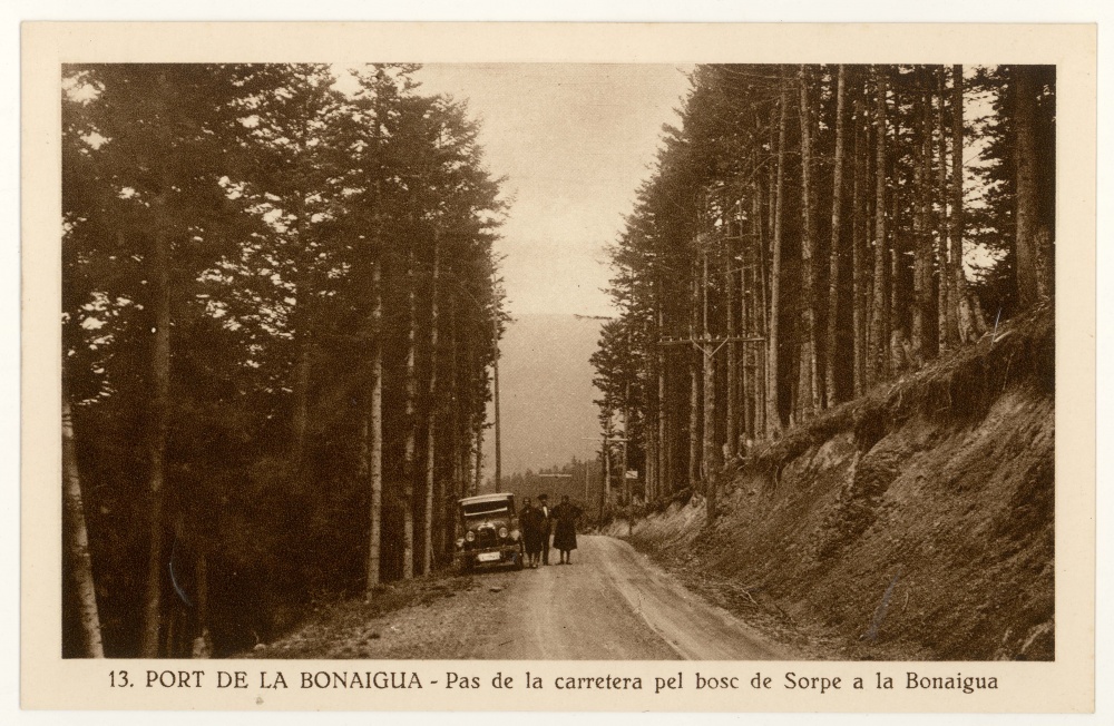 <p>Pas de la carretera pel bosc de Sorpe a la Bonaigua</p>