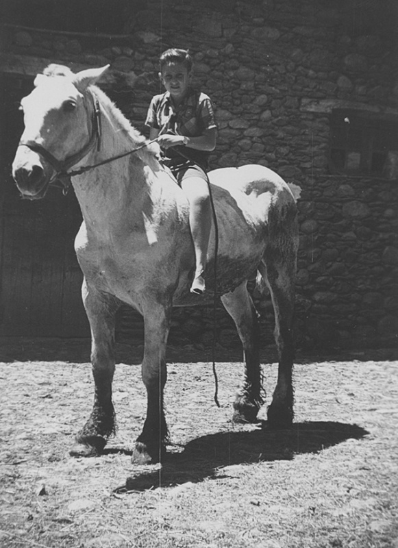 <p>Joan Carles Clarà Riart amb un vedell a darrera casa Vigatà d’Esterri d’Àneu. </p>