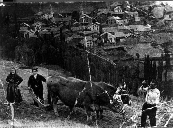 Joan de Miqueu i els seus pares, llaurant amb bous a la terra de Batllés.