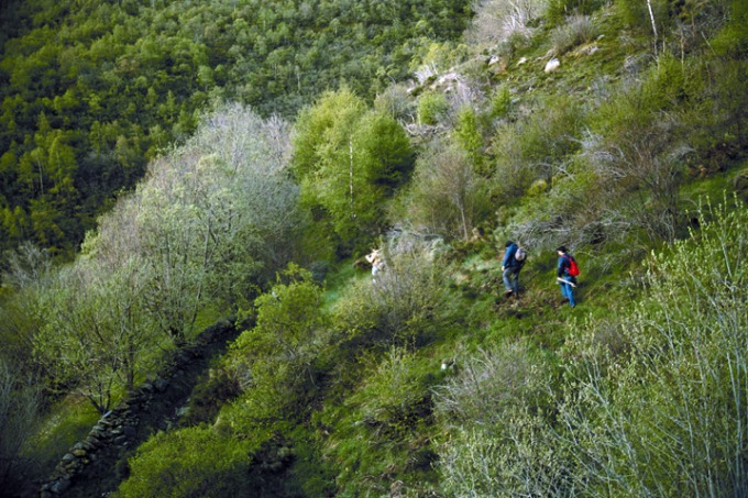 Pujada cap al faro.